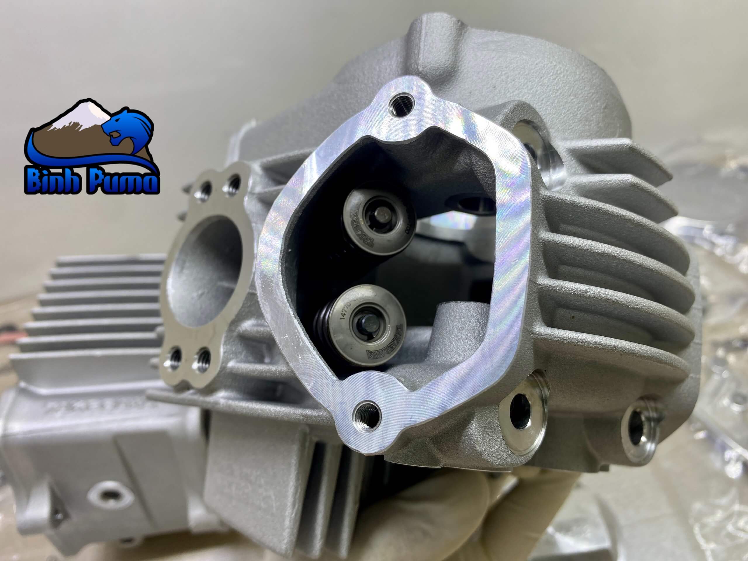 Đầu Lòng Takegawa 4valve Trái 52 Lòng 69 (106cc)
