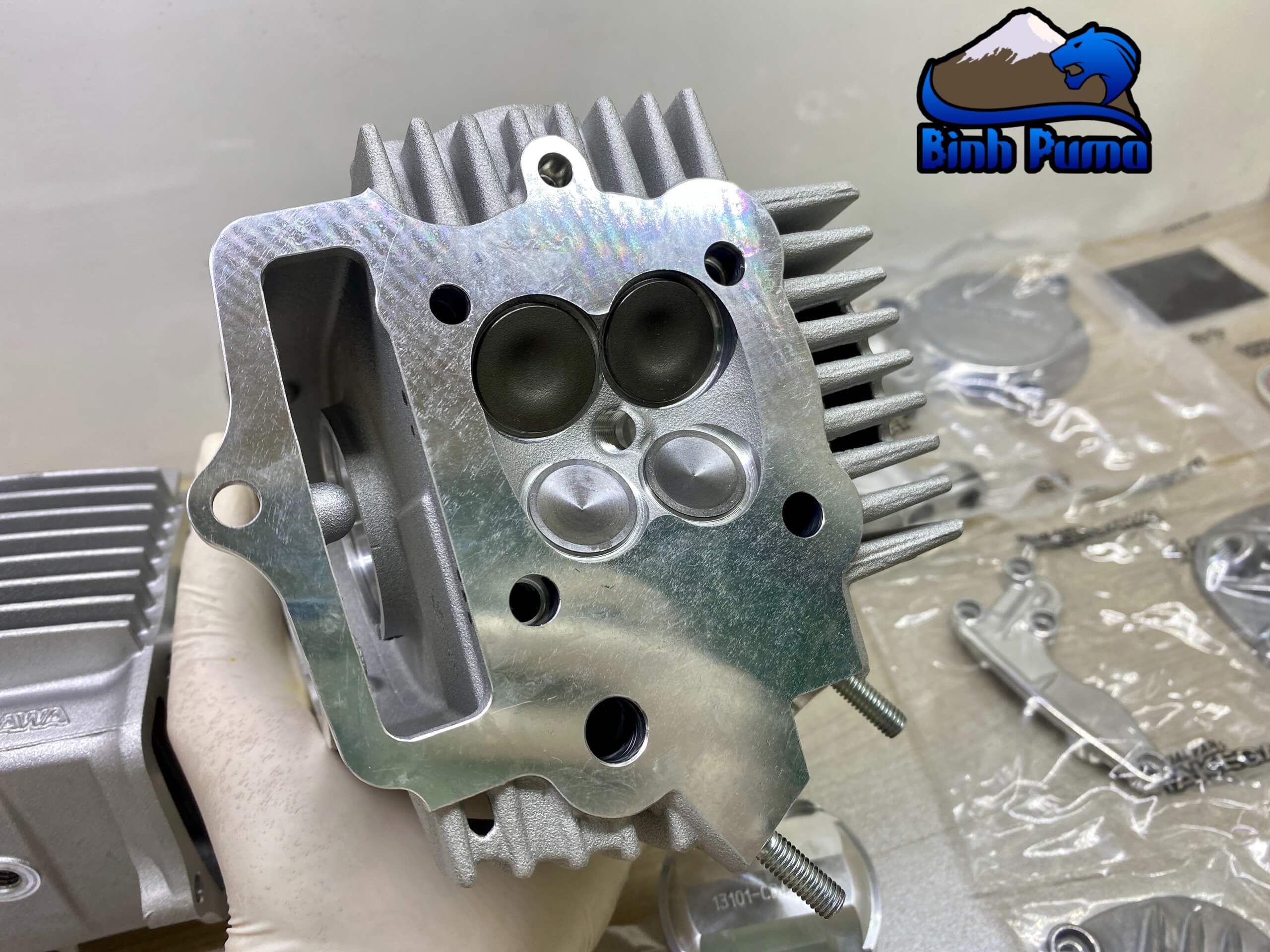 Đầu Lòng Takegawa 4valve Trái 52 Lòng 69 (106cc)