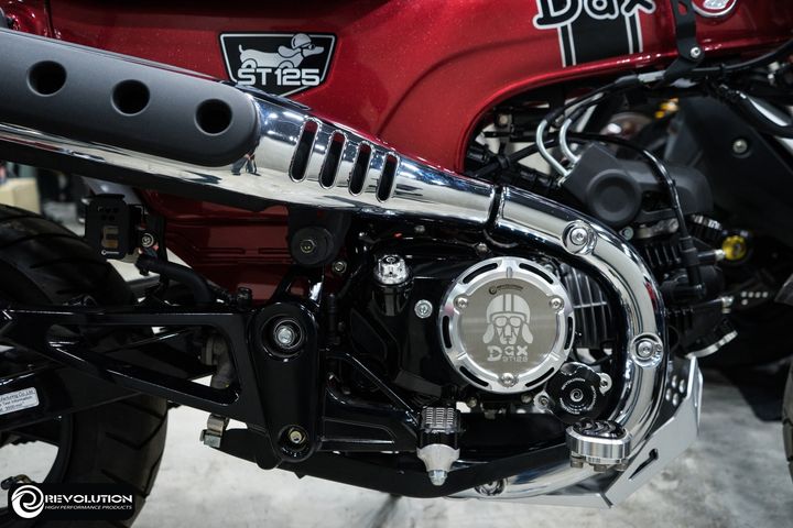 Ốp nồi Revolution cho Dax 125