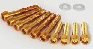 Bộ ốc máy TAKEGAWA cho CT125