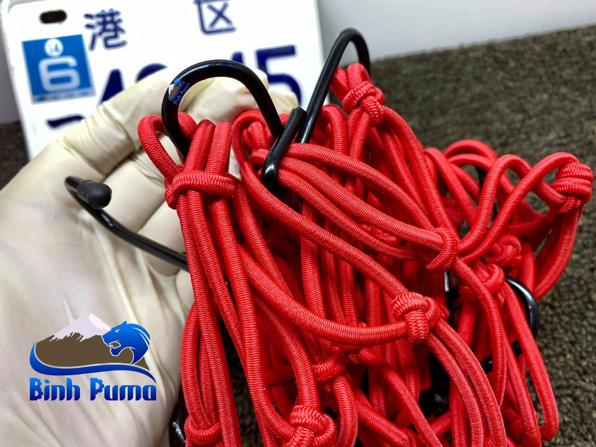 LƯỚI RÀNG HÀNH LÝ