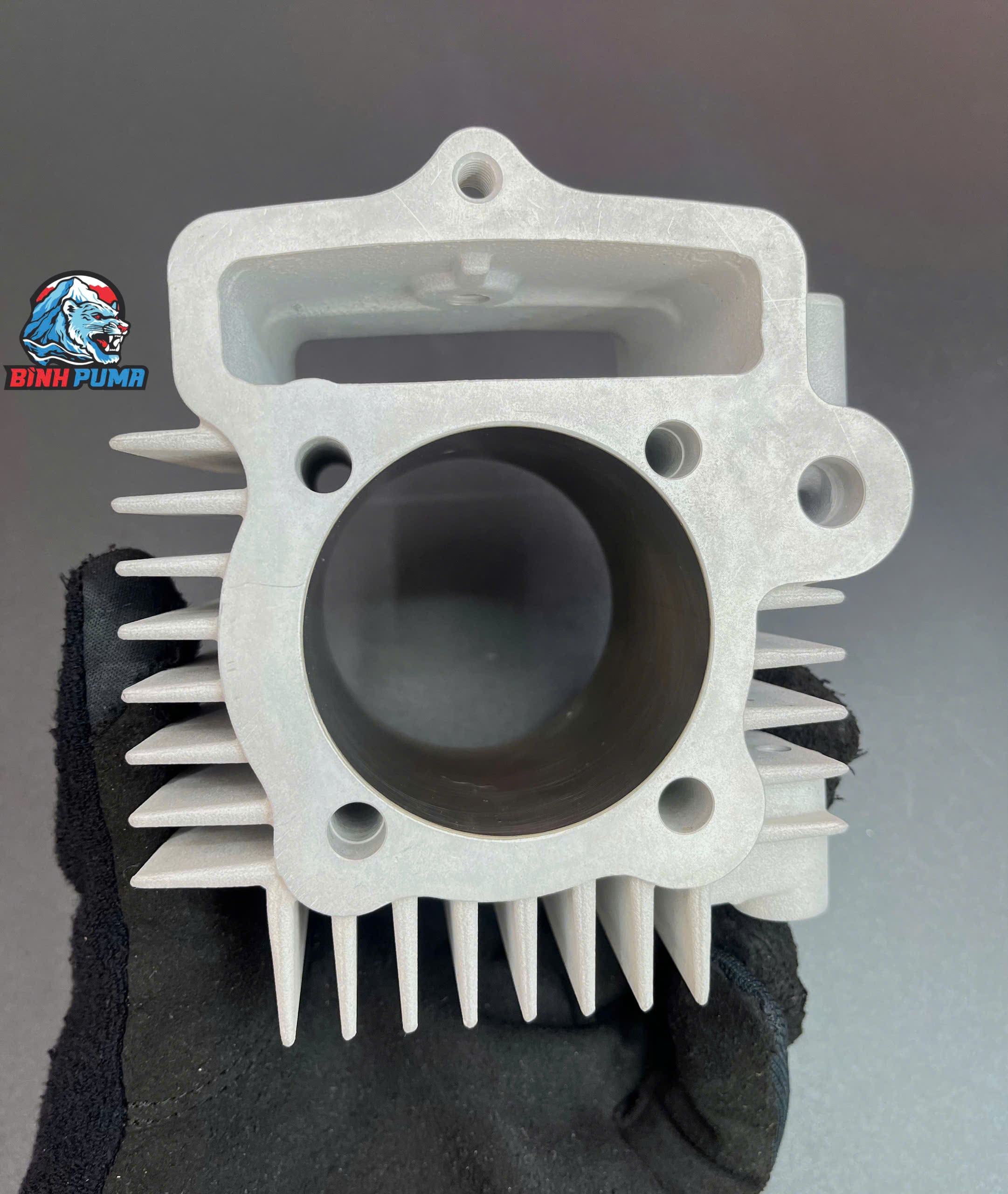 Đầu Lòng Takegawa 4valve 88cc