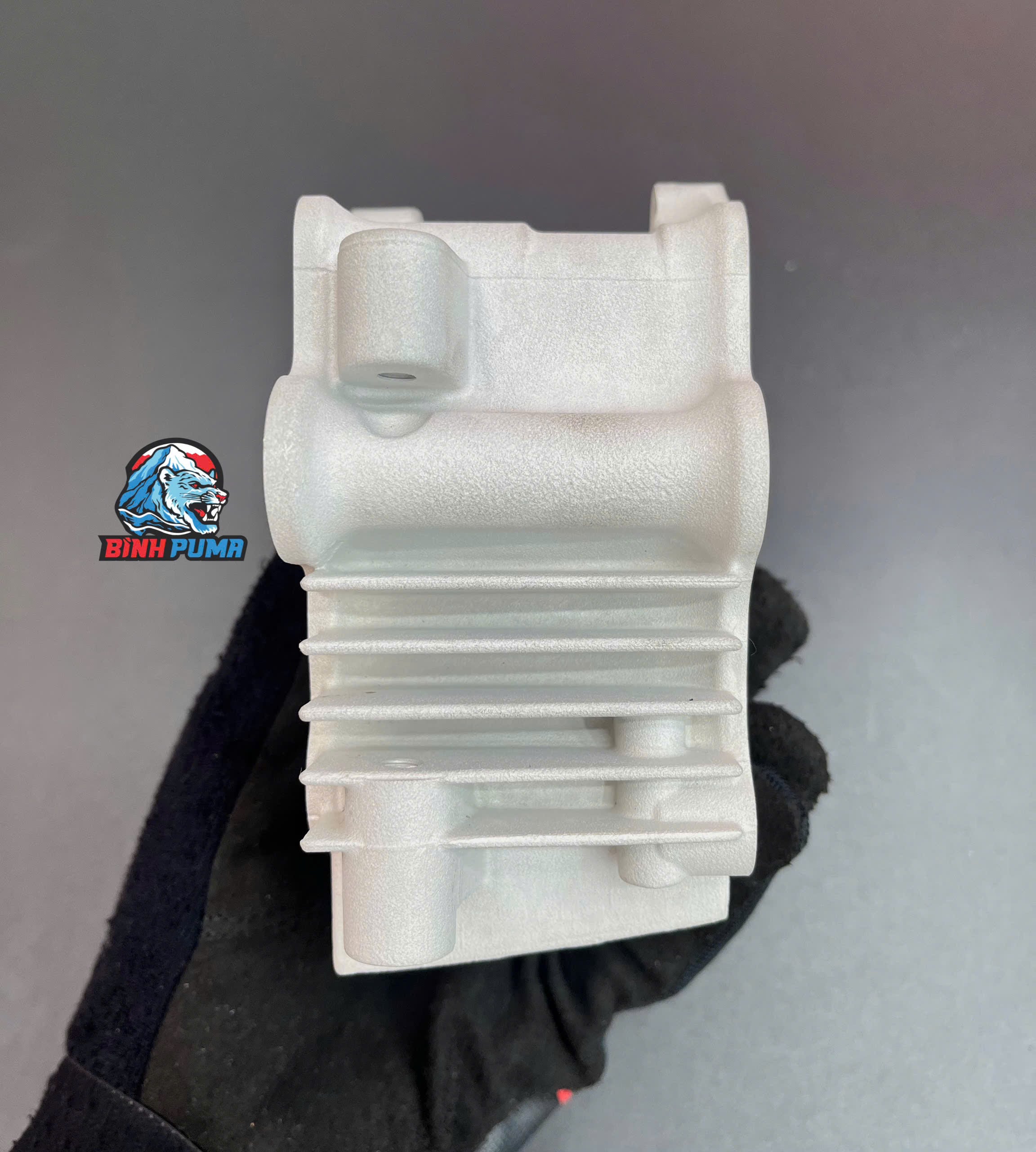 Đầu Lòng Takegawa 4valve 88cc