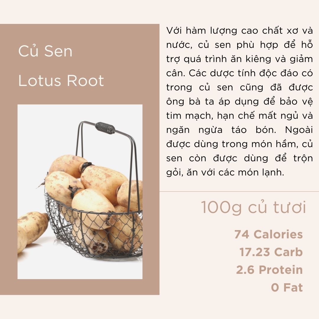 Củ Sen - Lotus Root