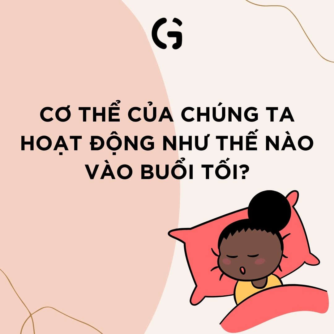 Cơ thể của chúng ta hoạt động như thế nào vào buổi tối?