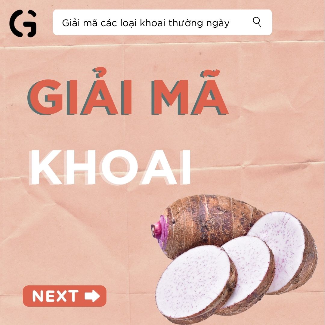 Giải mã các loại khoai thường ngày