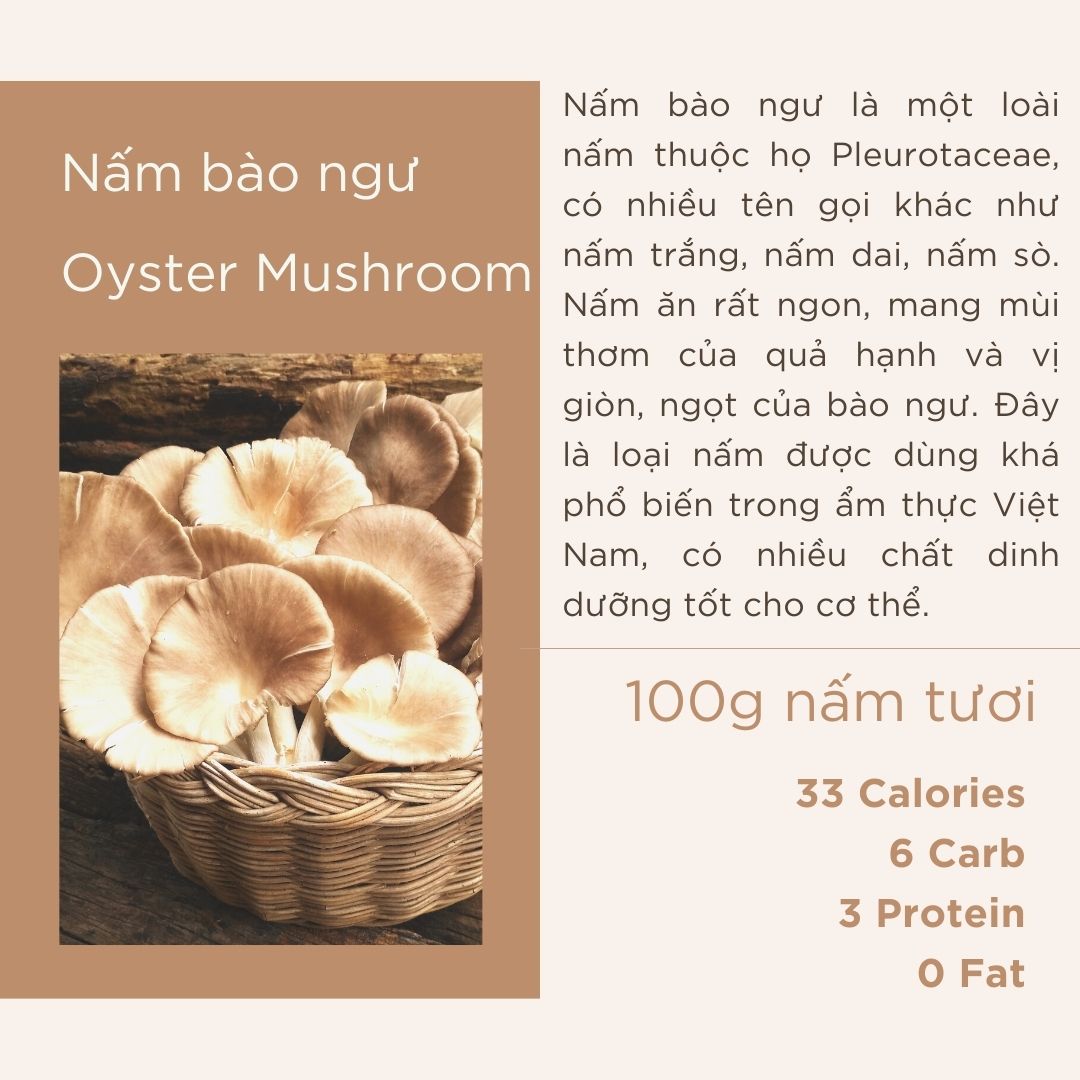 Nấm Bào Ngư - Oyster Mushroom