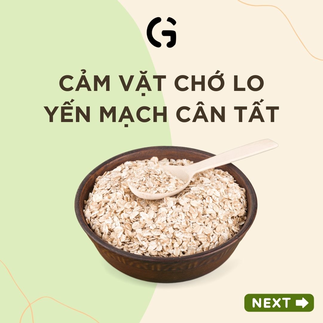 Cảm vặt đừng lo, đã có yến mạch