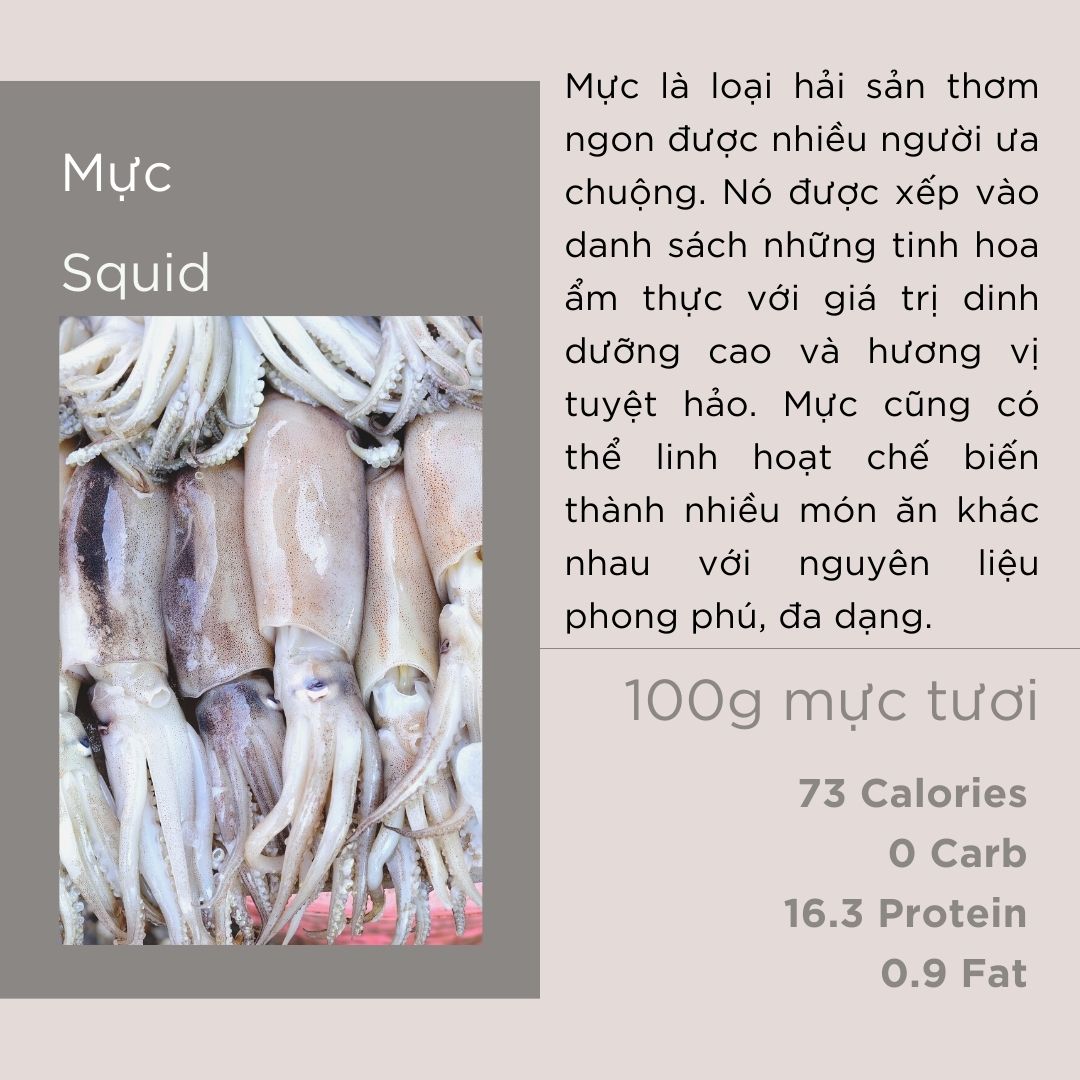 Mực - Squid