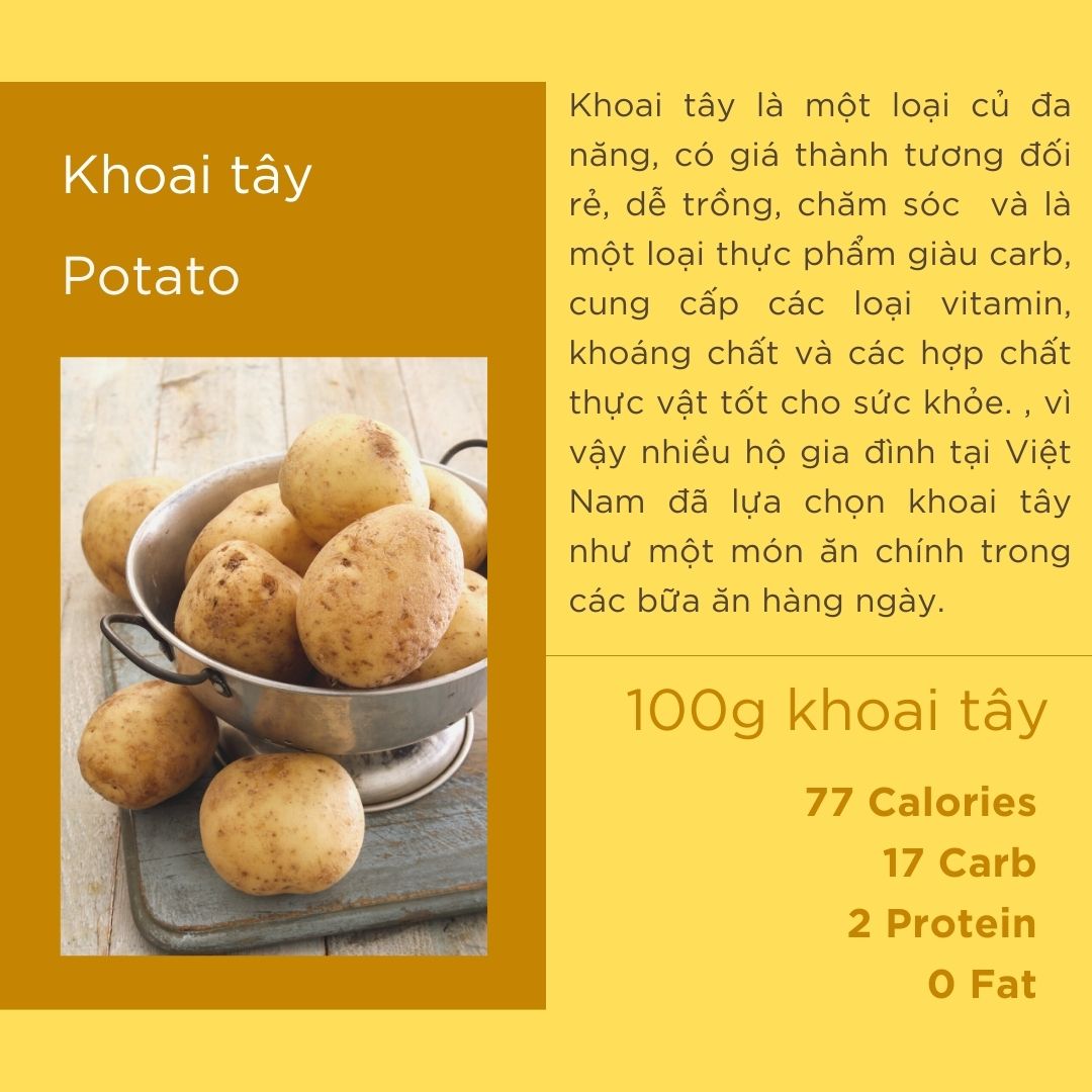 Khoai tây - Potato