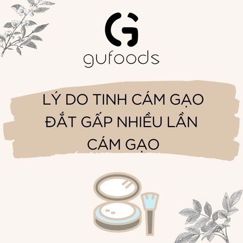 Lý do “tinh cám gạo” đắt gấp nhiều lần cám gạo