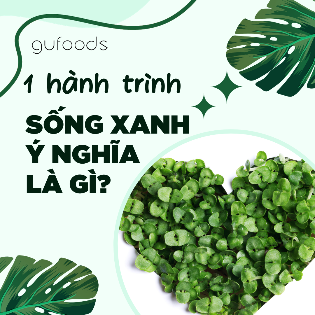 Một hành trình sống xanh ý nghĩa là gì?