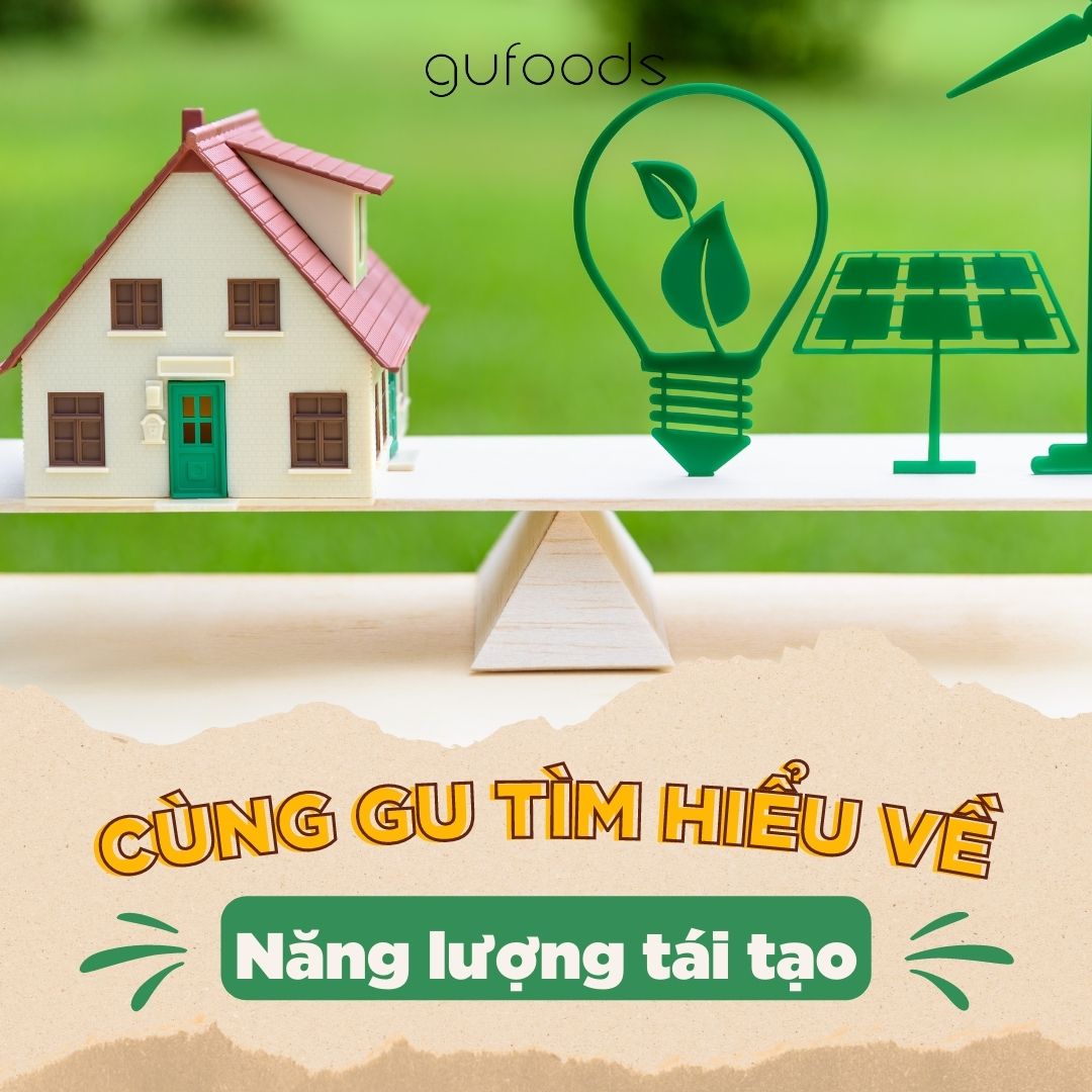 Cùng GU tìm hiểu về năng lượng tái tạo