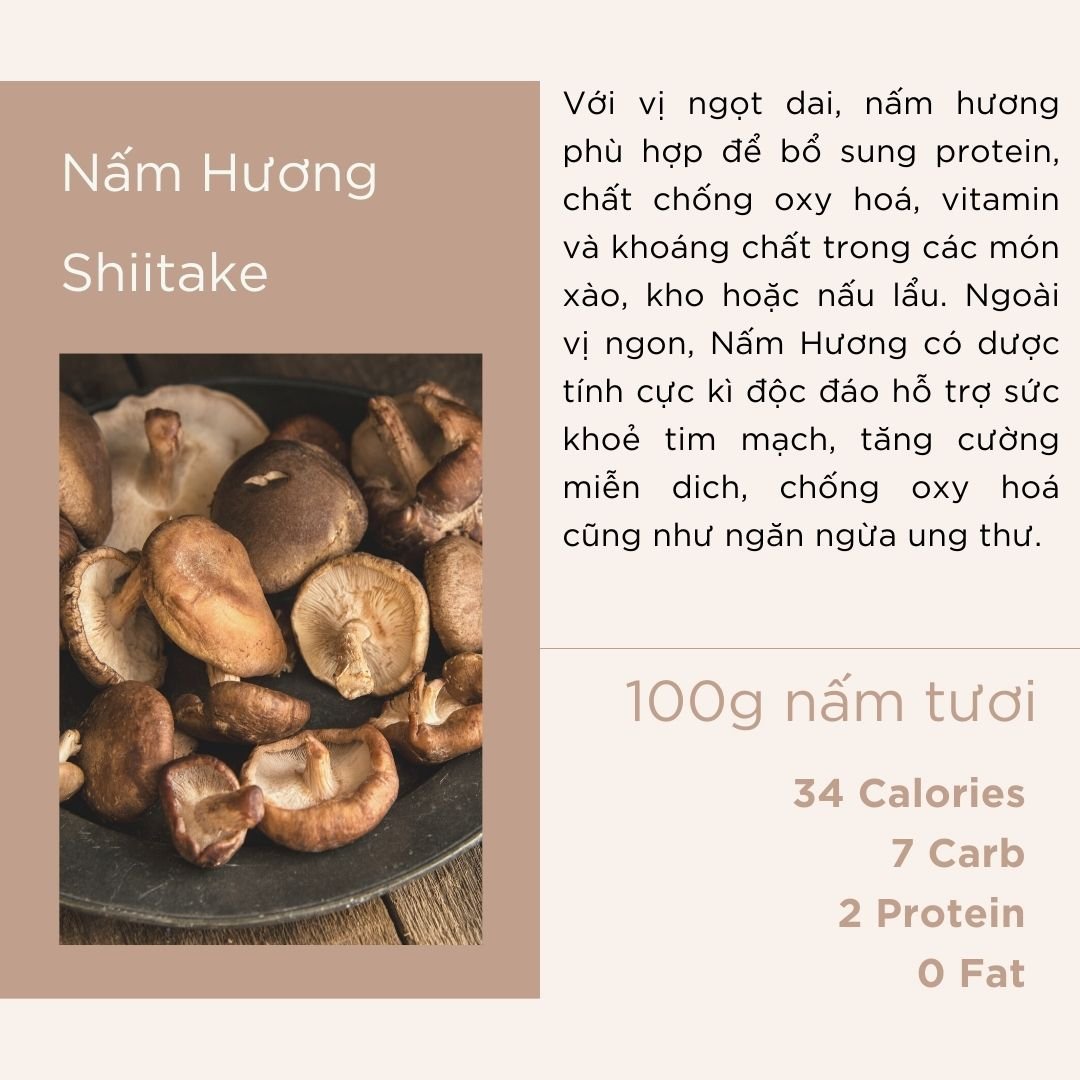 Nấm Hương - Shiitake