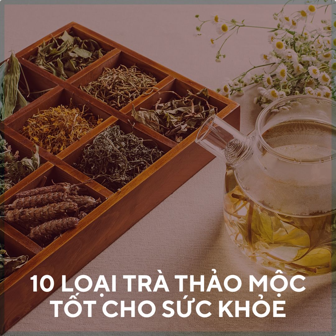 10 Loại Trà thảo mộc tốt cho sức khỏe và sắc đẹp bạn nên thử