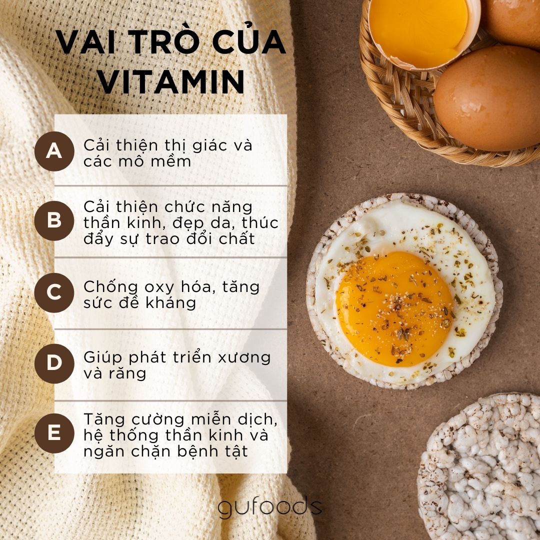 Vai trò của các loại vitamin