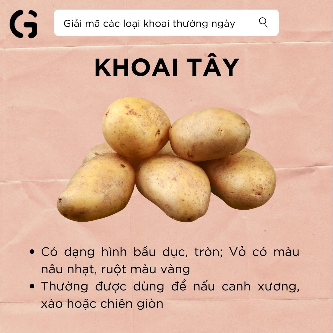 giải mã khoai tây