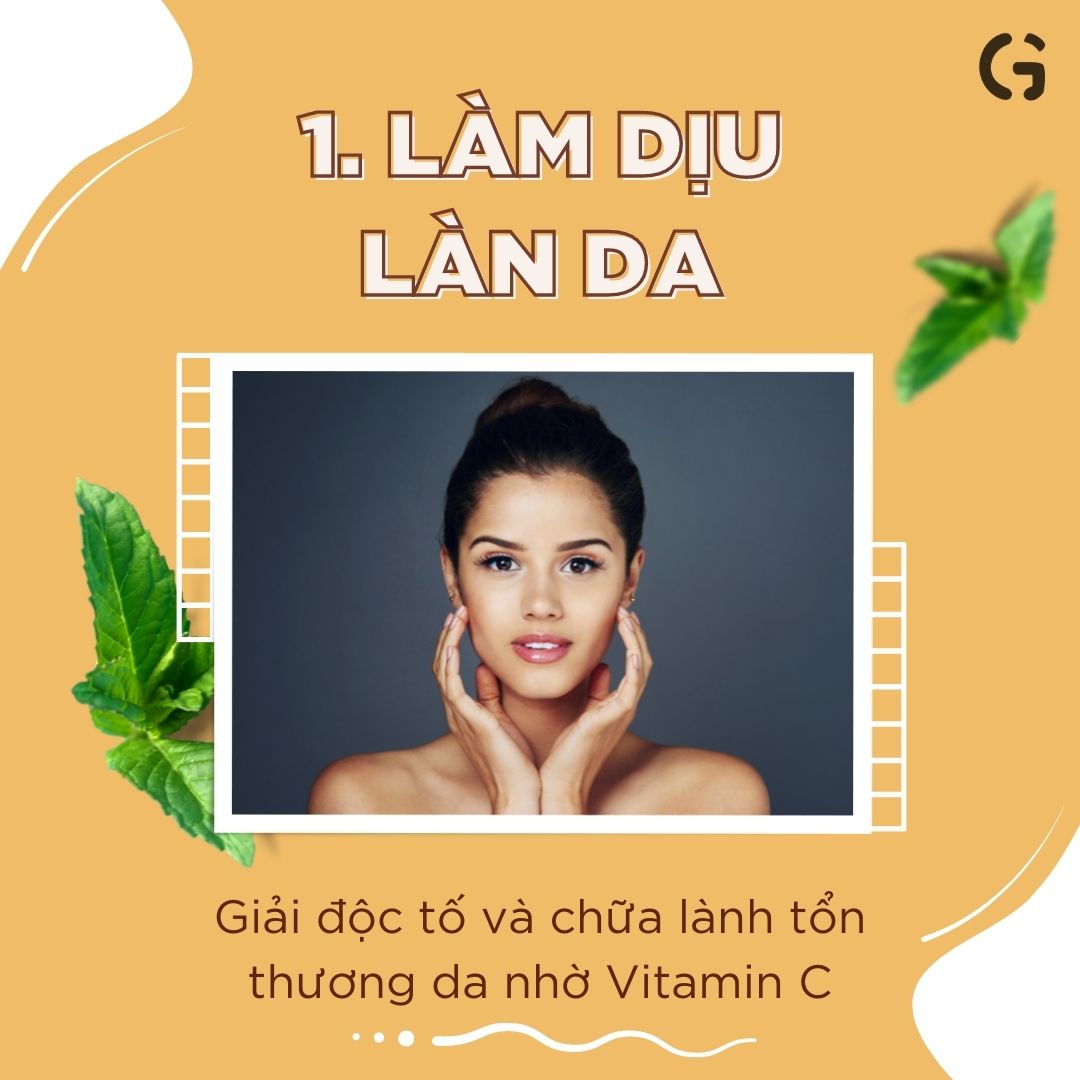 Điều kì diệu của trái cây họ cam quýt