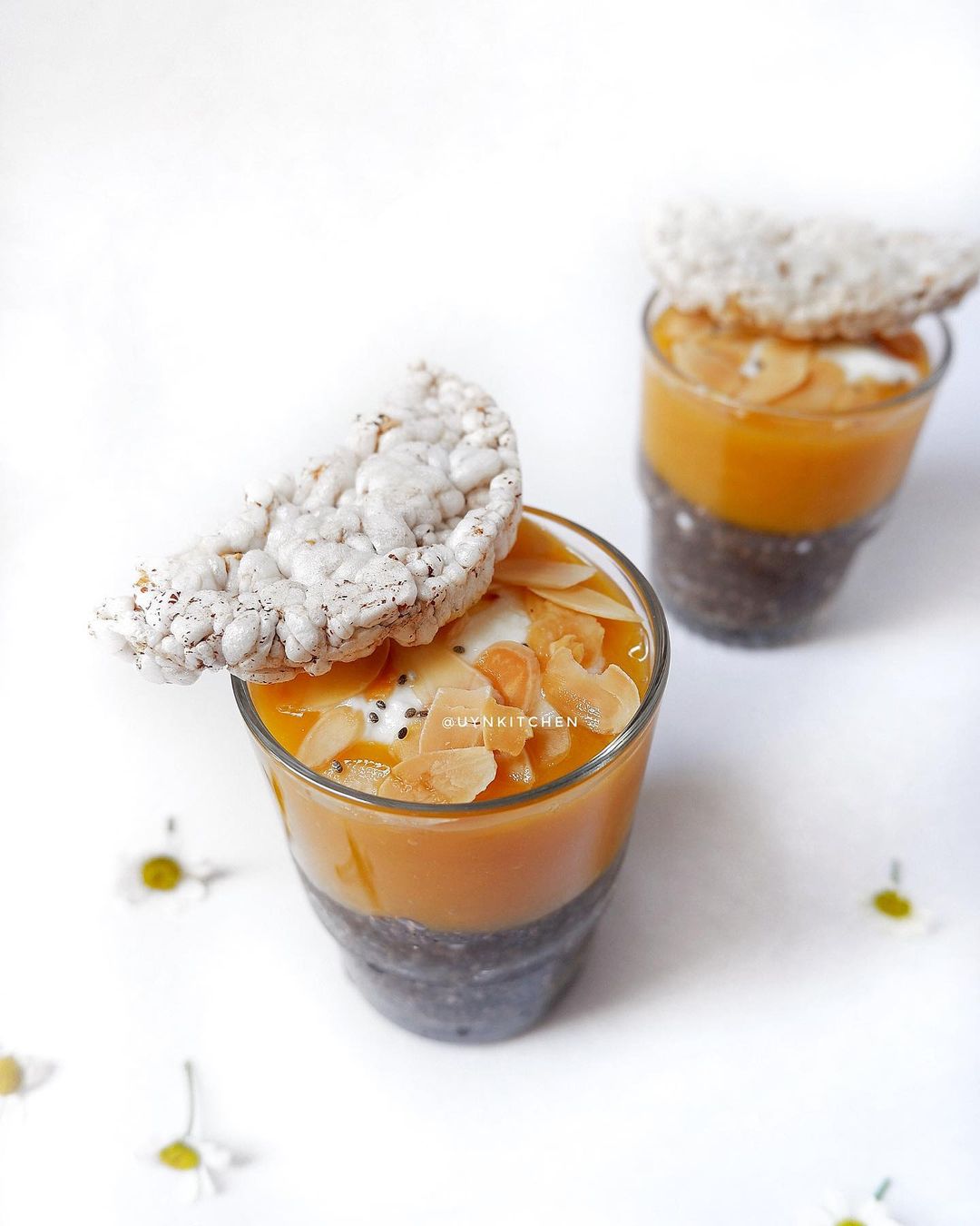 Chia pudding x rice cake