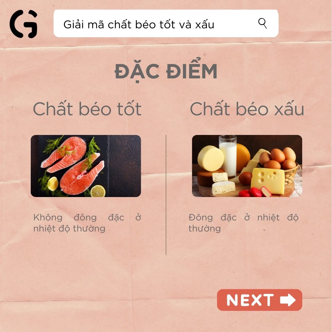 Giải mã chất béo tốt và xấu