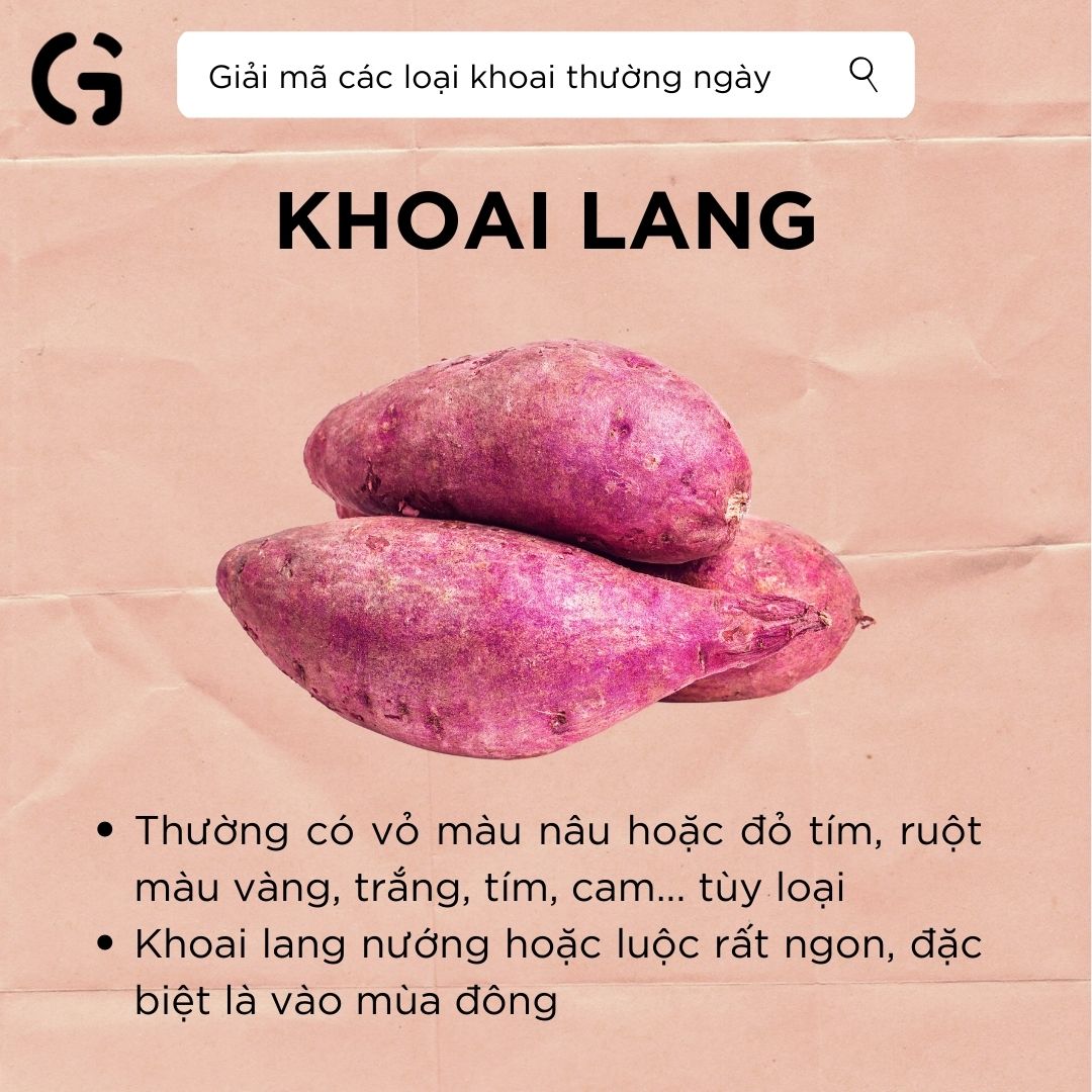 giải mã khoai lang