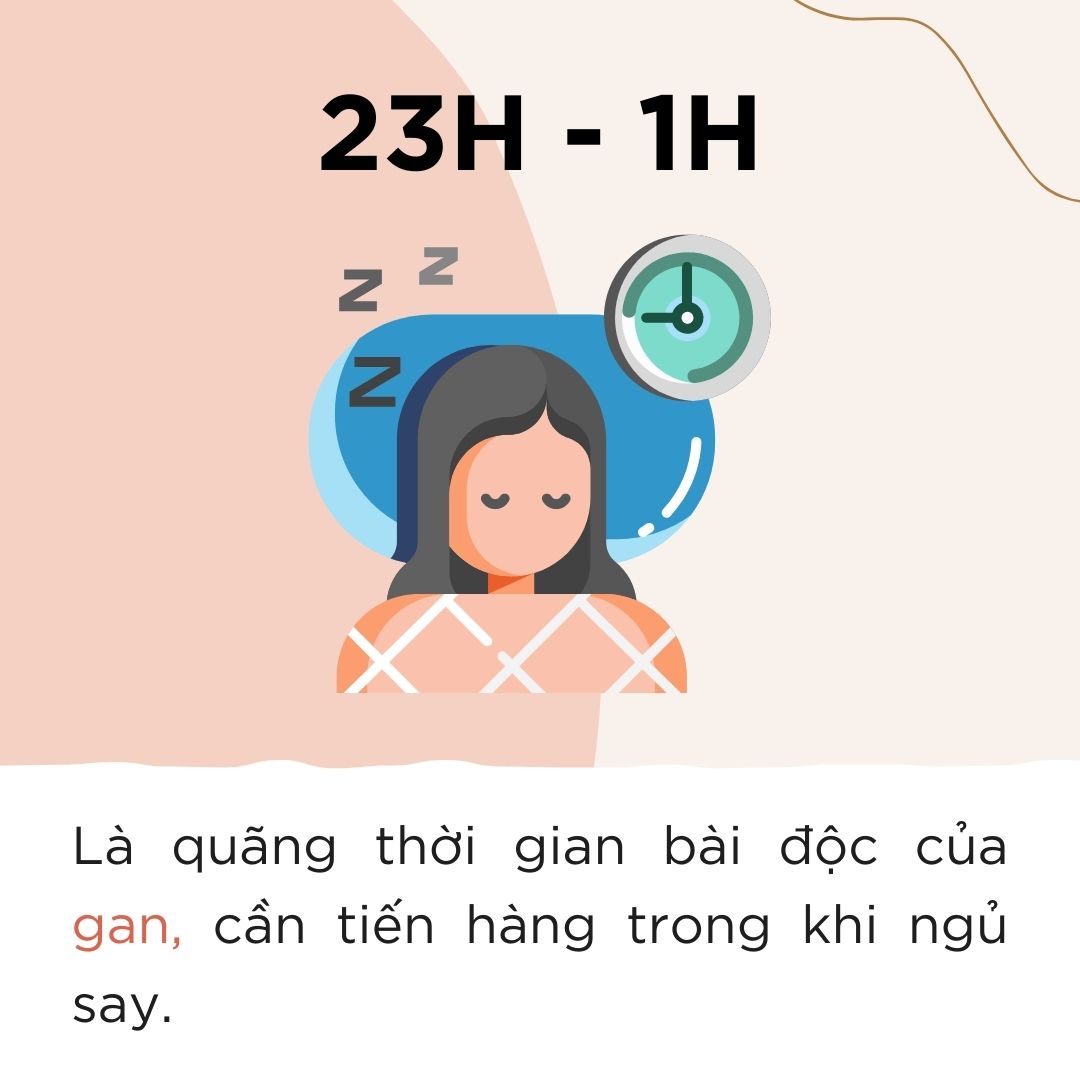 Cơ thể của chúng ta hoạt động như thế nào vào buổi tối?