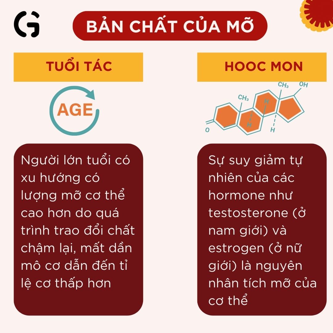 Bản chất của mỡ