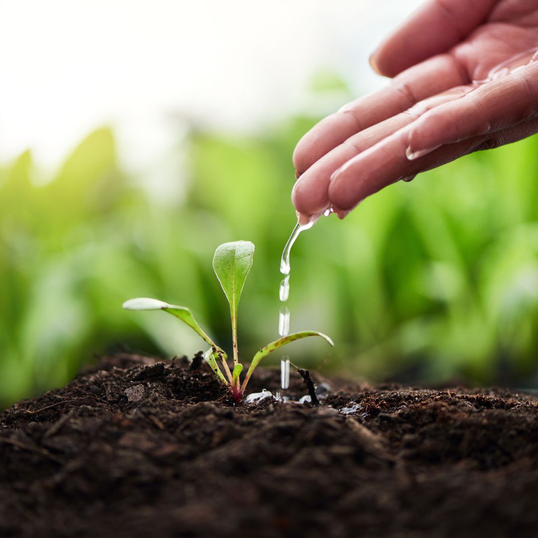Hãy bắt đầu lối sống xanh ngay bây giờ nhé!