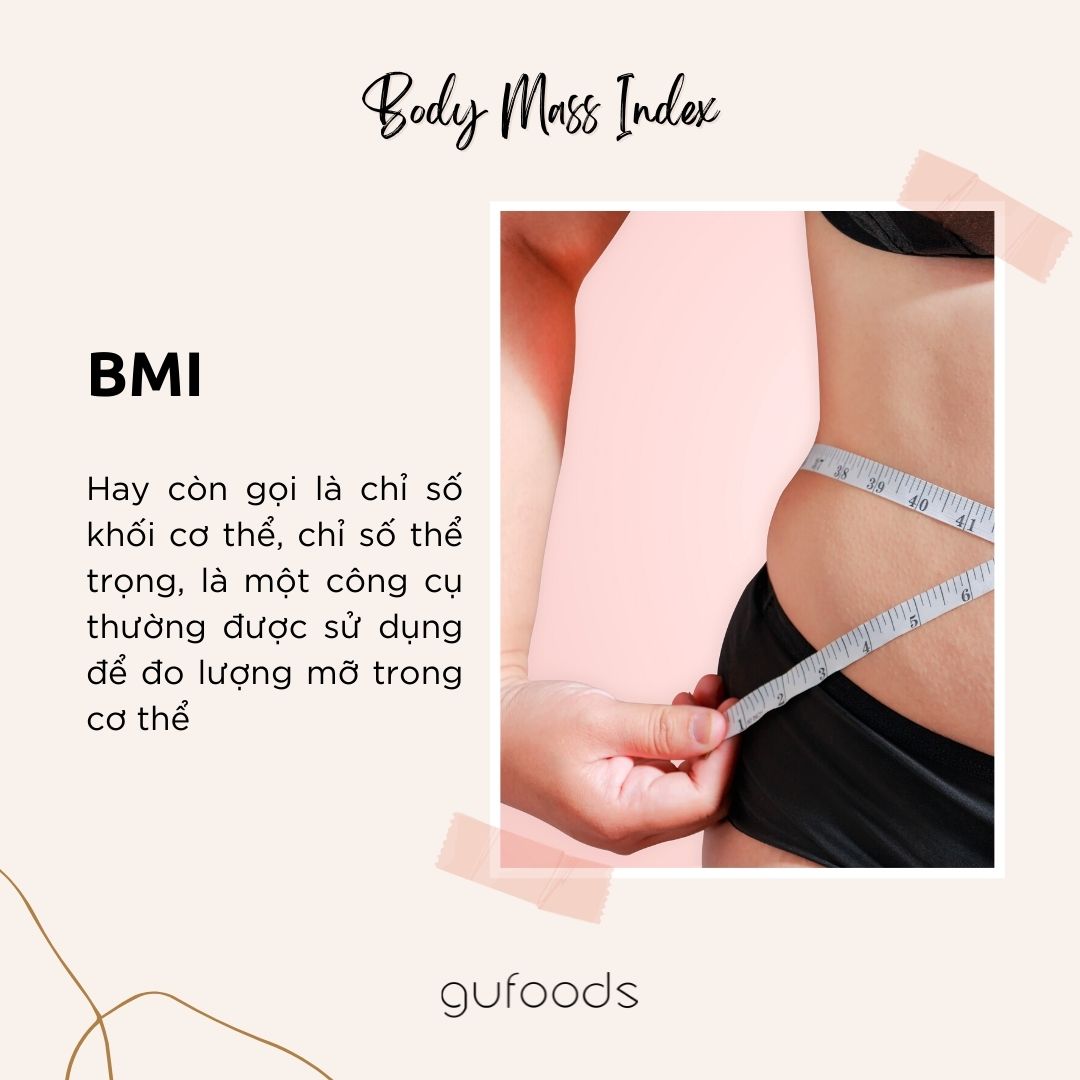 Từ điển giảm cân cho người mới bắt đầu