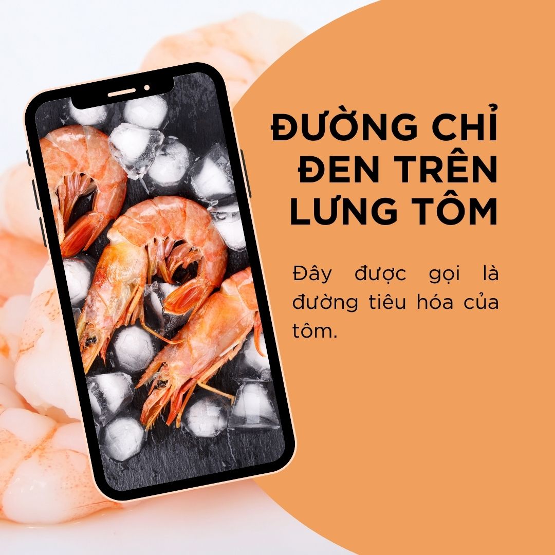 Không nên ăn đường chỉ đen trên lưng tôm