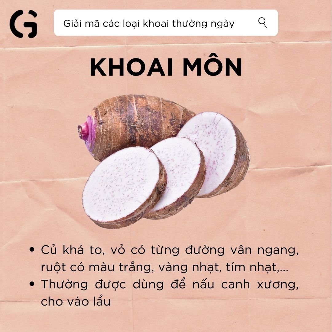 giải mã khoai môn