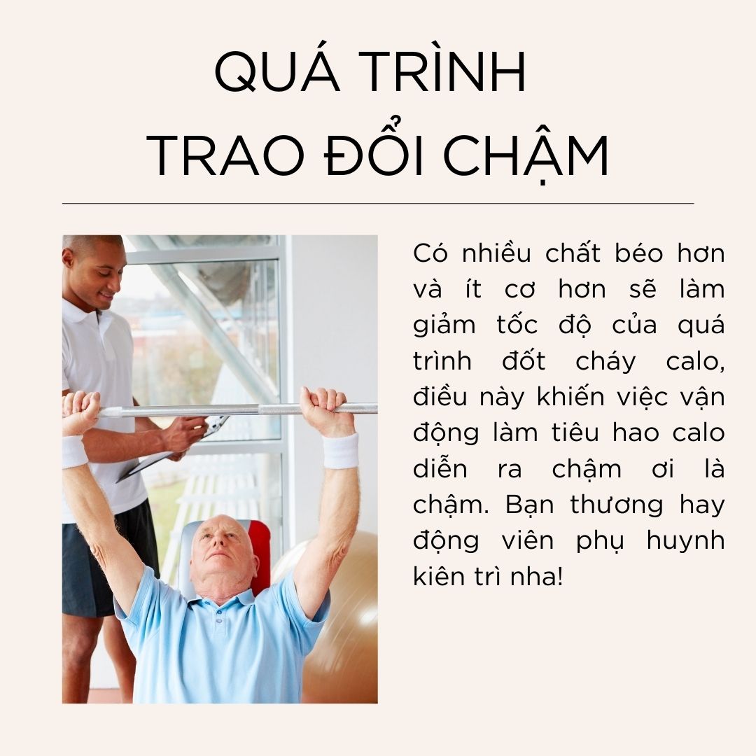 Qúa trình trao đổi chậm