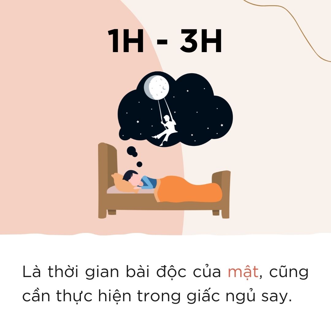 Cơ thể của chúng ta hoạt động như thế nào vào buổi tối?