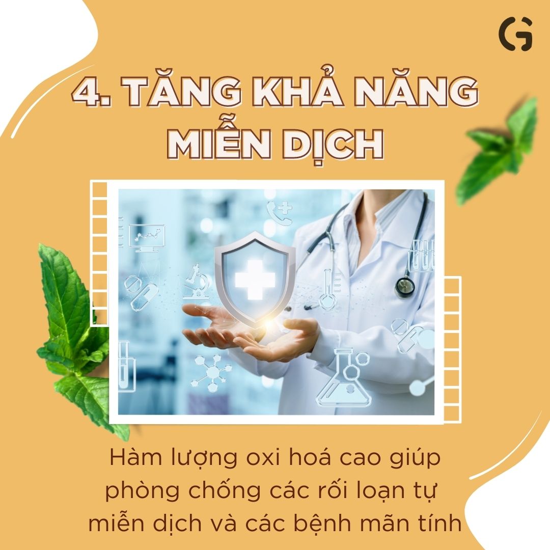 Điều kì diệu của trái cây họ cam quýt