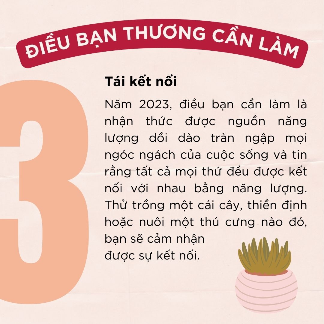 Điều gì sẽ đến trong năm thế giới số 7