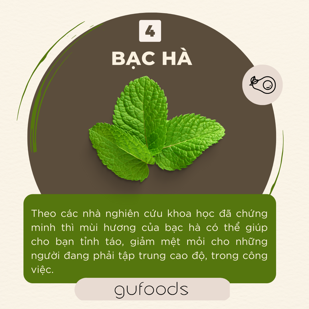 Bạc hà