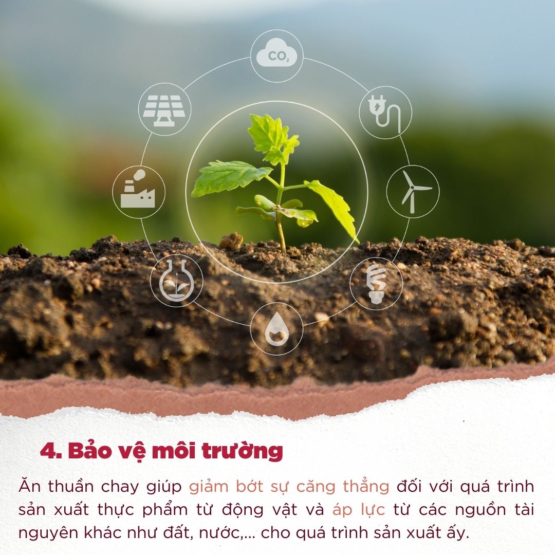 Tại sao GU chuyển sang dòng thuần chay?