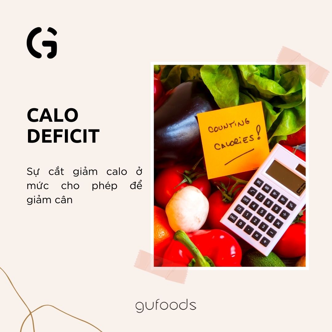 Từ điển giảm cân cho người mới bắt đầu