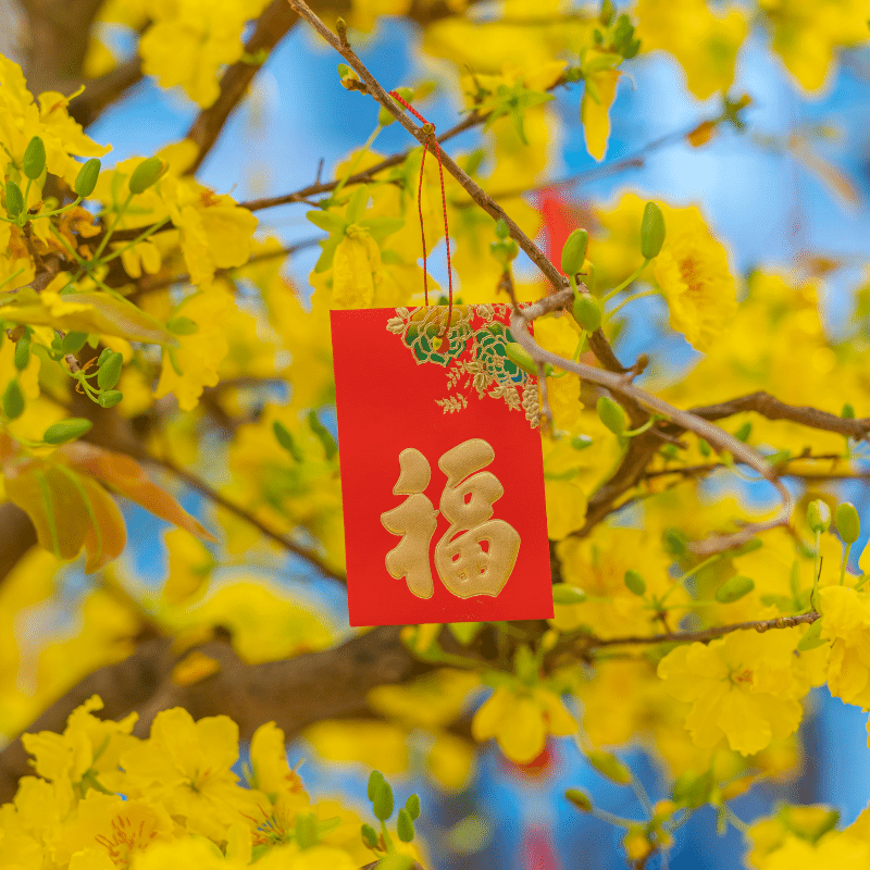 Bao lì xì là món quà Tết tưởng chừng chỉ tặng cho trẻ em, nhưng hóa ra cũng có thể dùng để tặng ông bà