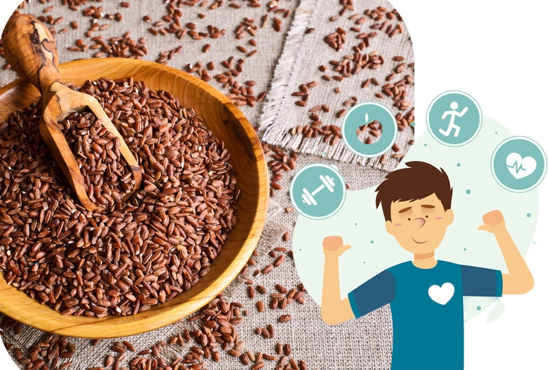 Tác dụng của gạo lứt sấy rong biển cho sức khỏe