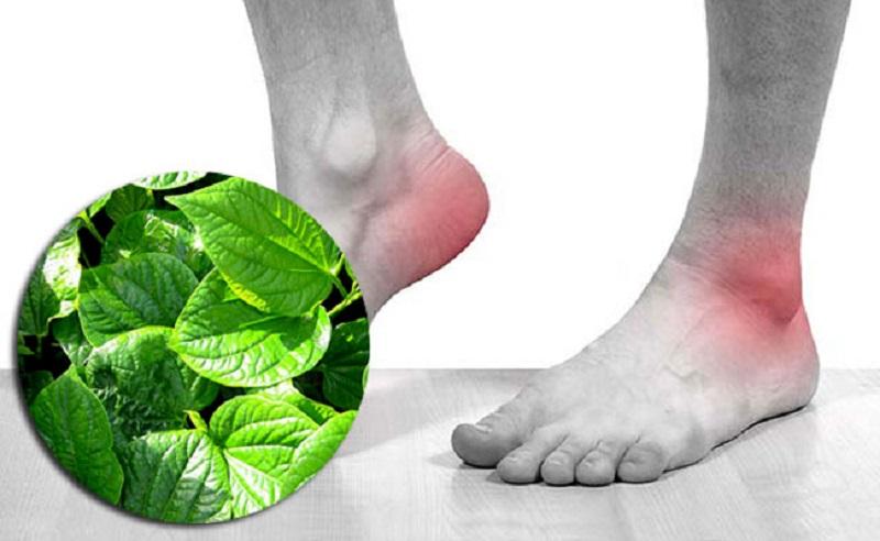 Muối ngâm chân thảo dược: Giải pháp thư giãn và chăm sóc sức khỏe hiệu quả