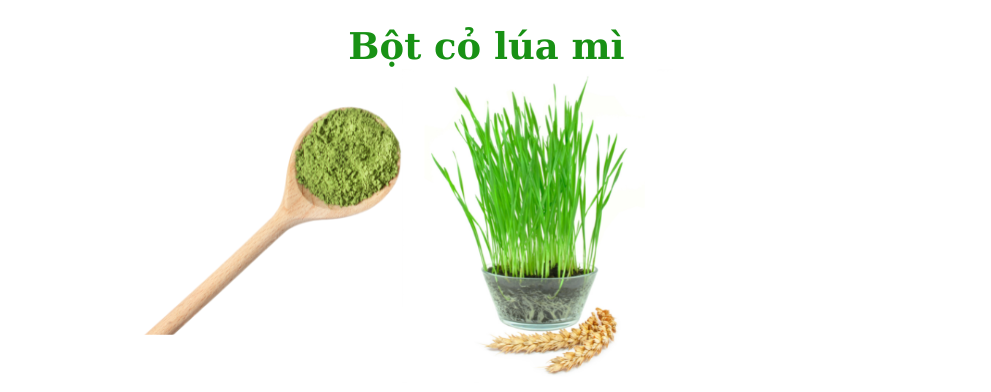 bột cỏ lúa mì