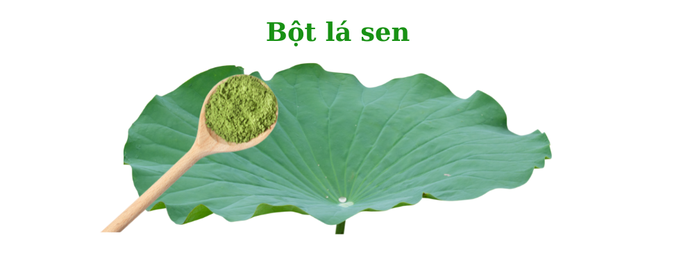 Bột lá sen sấy lạnh