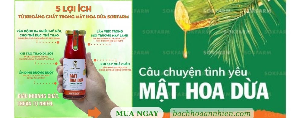 Mật hoa dừa