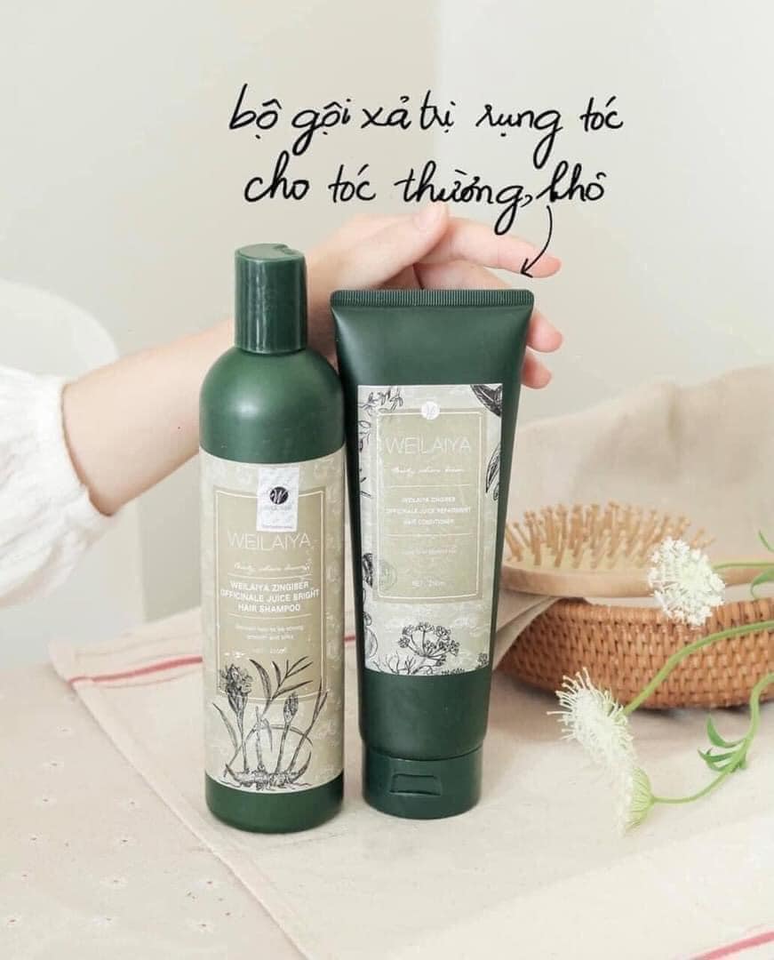 Cặp Gội Xả Weilaiya Gừng Hà Thủ Ô (Nâu) + Set Mini