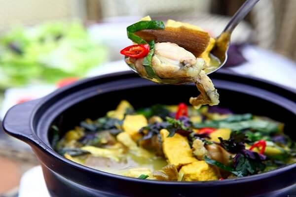 ẾCH OM CÀ ẾCH OM CÀ