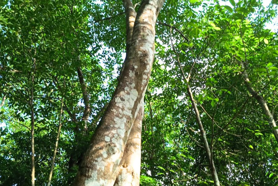 Tin tức | TRẦM HƯƠNG HÙNG DUNG