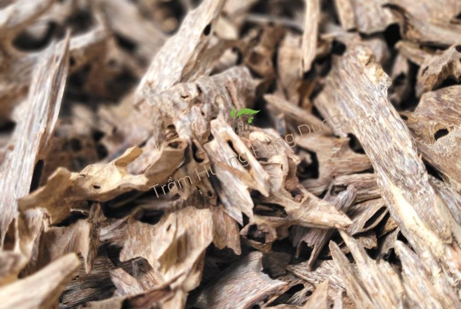 Trầm Tốc Kiến là gì? Và công dụng tuyệt vời của Trầm hương tốc kiến?