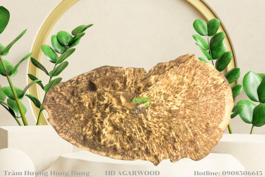 CÁCH TRƯNG BÀY TRẦM HƯƠNG CẢNH HỢP PHONG THỦY BẠN NÊN BIẾT