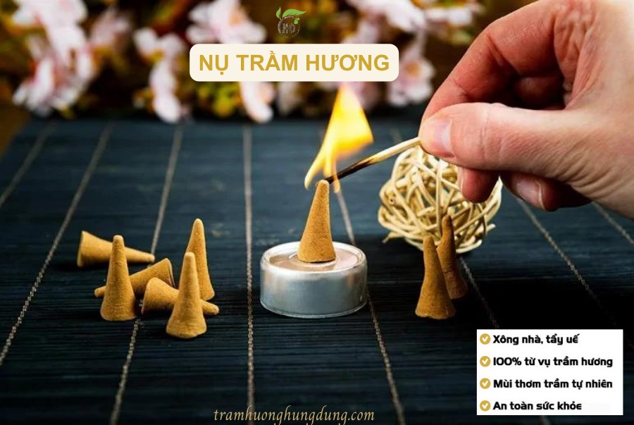 NỤ TRẦM HƯƠNG LÀ GÌ? LỢI ÍCH NHƯ THỀ NÀO?
